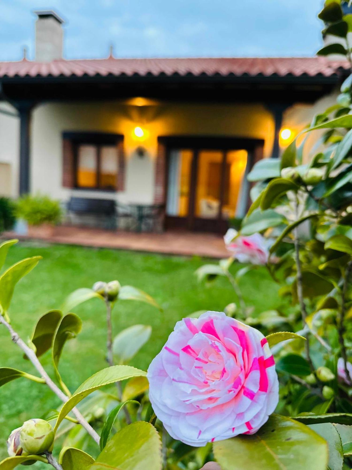 Oviñana Apartamentos Rurales La Carbayala מראה חיצוני תמונה